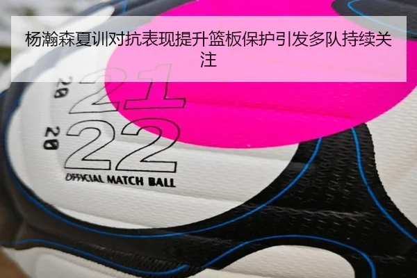 杨瀚森夏训对抗表现提升篮板保护引发多队持续关注